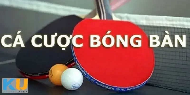 Cá cược bóng bàn: sân chơi mới hấp dẫn cho cược thủ hiện đại ca cuoc bong ban